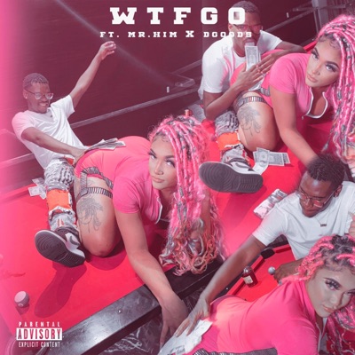 Wtfgo (feat. Mrhim & Dgooods) - Single