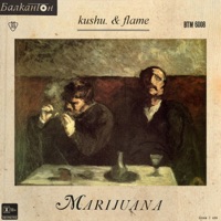 Marijuana (On Point) [feat. Kushu.] - Single - FLAME