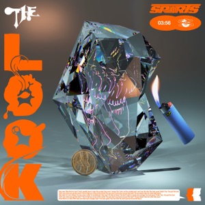 The Look - Single