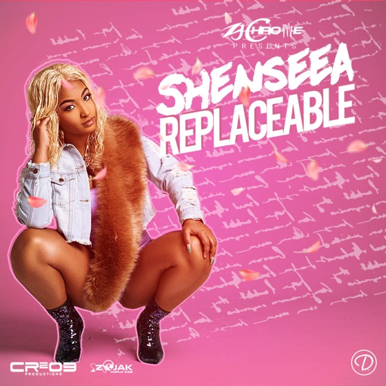Cover artwork for Replaceable
