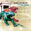 Gods of Blitz - The Rising