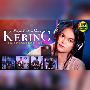 Bagai Ranting Kering (Kentrung) feat. SKA 86 Album Art
