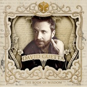 Tomorrowland 2019: David Guetta (DJ Mix) artwork