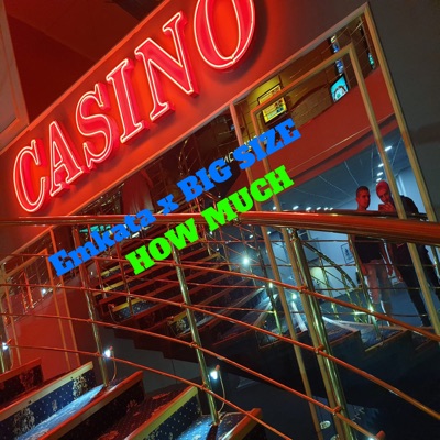 How Much (feat. BigSize) - Single