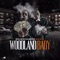 Designer (feat. MoneyMarr) - BandChasingMooda lyrics