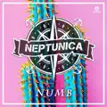 Numb