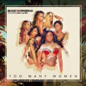 Too Many Women (feat. Daz & Lil Ray) artwork