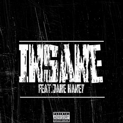 Insane (feat. Jake Haney) - Single