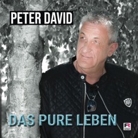 Peter David - Du hast mich sowas von verdient