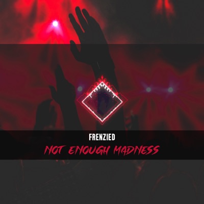 Not Enough Madness - Single