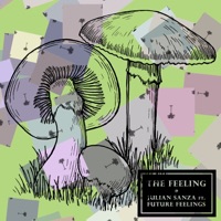 The Feeling - Julian Sanza