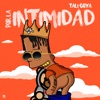 Por la Intimidad - Single