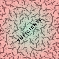 Suficiente - Single - Babasónicos