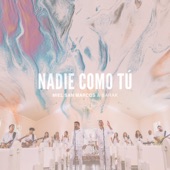 Nadie Como Tú artwork