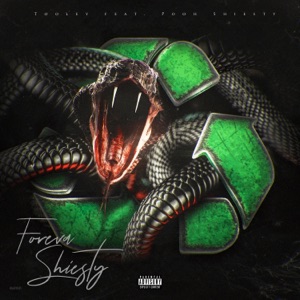 Foreva Shiesty (feat. Pooh Shiesty) - Single