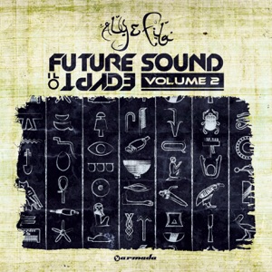 Future Sound of Egypt, Vol. 2