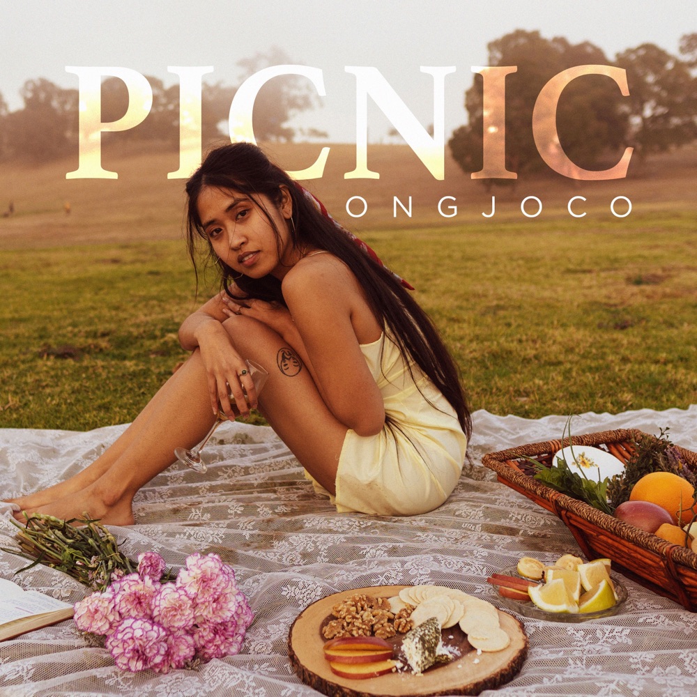 Обложка альбома «Picnic» — Ongjoco
