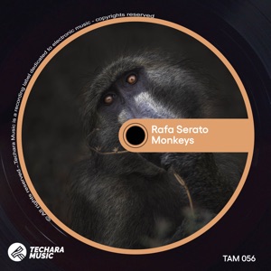 Monkeys - Single