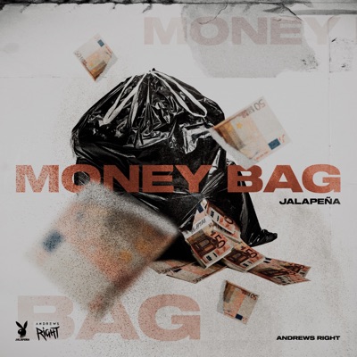 Money Bag - Single