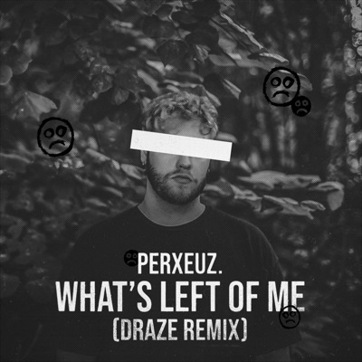 What's Left of Me (Remix) [Remix] - Single