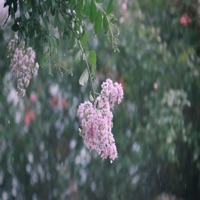 WHY (Who Hurt You) - Single - Escpe