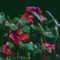 Amaat One - Manatee Commune lyrics