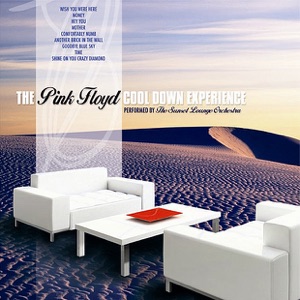 The Pink Floyd Cool Down Experience