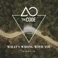 What's Wrong With You (acoustic)