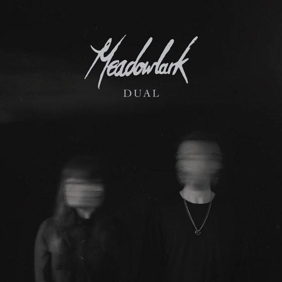 Cover artwork for Fly