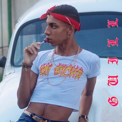 Vai Bicha - Single