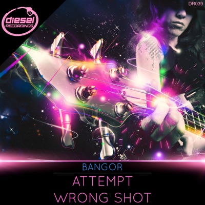Attempt / Wrong Shot - Single