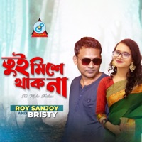 Tui Mishe Thakna - Single - Roy Sanjoy & Bristy