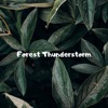 Forest Thunderstorm