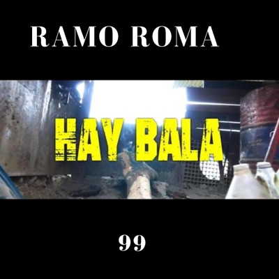 Hay Bala - Single