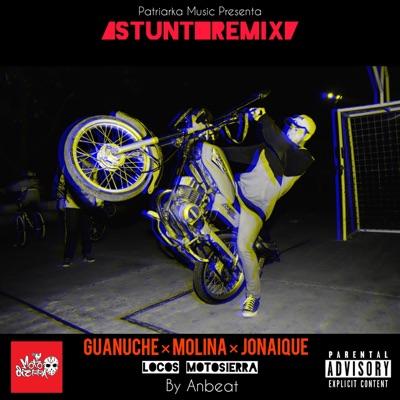 Stunt Remix (feat. Guanuche, Molina & Jonaique) [Remix] - Single