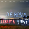 Debesis iekrita tevī - BrainStorm & Musiqq