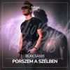 Burcsányi - Porszem a szélben