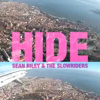 Hide