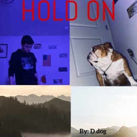 Hold On D Dog