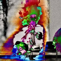 Everyone Who I Have Ever Misunderstood - Single - August Kamp