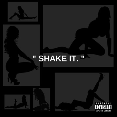 Shake It (feat. DNA Picasso) - Single