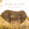 Wild Is Life - Daniel Deuschle
