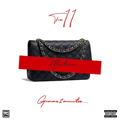 Montana (feat. Gimme2Minutes) - Single