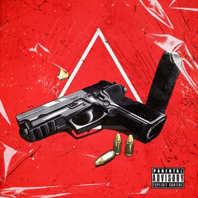 PEÇA 22 (feat. MC Negoth, DJ Bruninho Beat, MC TM & Vavá MC) - Single