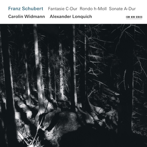 Franz Schubert: Fantasie in C Major; Rondo in B Minor; Sonata in A Major