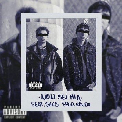 Non Sei Mia (feat. Secs) - Single