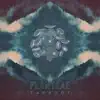 Plantrae - Anarcho Arachnid