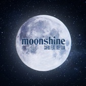 Moonshine (feat. JOEY DJIA) artwork