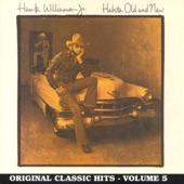 Hank Williams, Jr. - The Blues Man