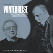 Winterreise, Song Cycle for Voice & Piano, D. 911 (, Op. 89), V. Der Lindenbaum artwork